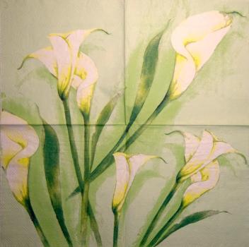019 Calla - 3-lagig (grün) - Ihr
